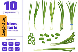 دانلود وکتور های گیاه پیازچه
